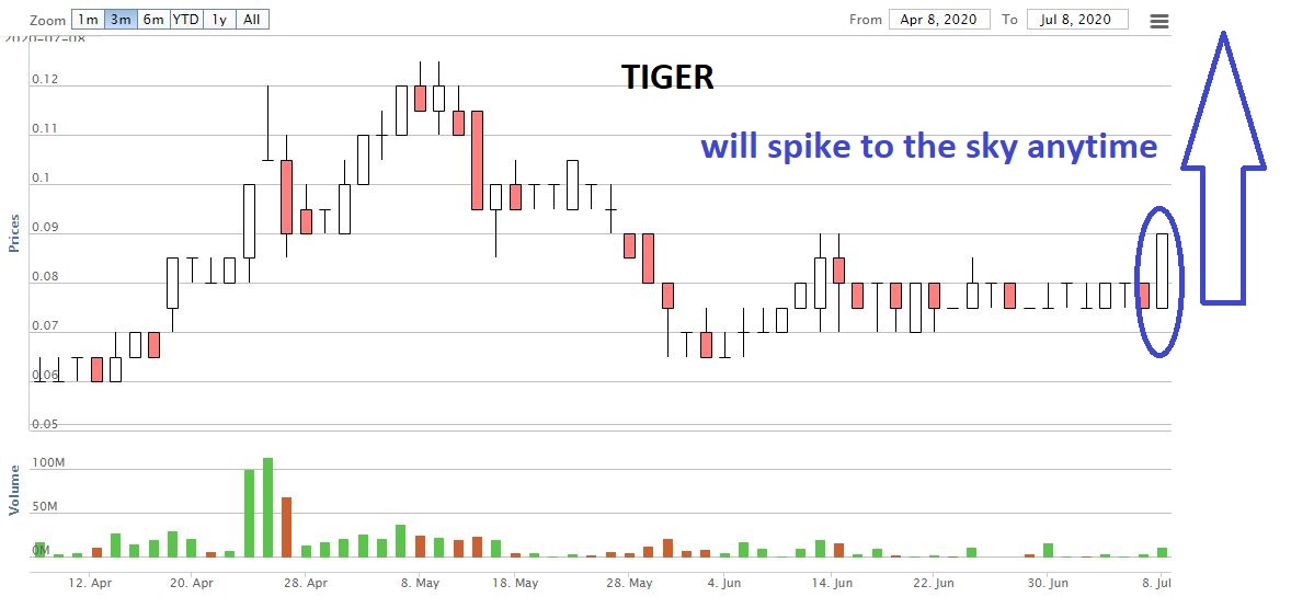 Tiger 7079 Tiger Synergy Why You Must Buy Next Rally Penny Sharetisfy