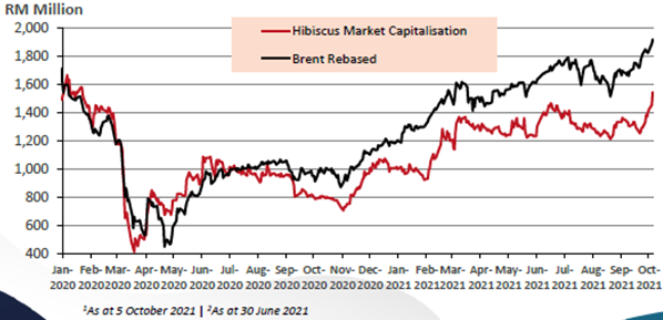 Hibiscus share price