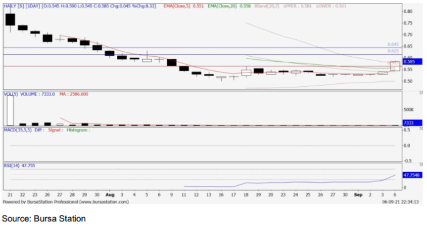 Haily share price